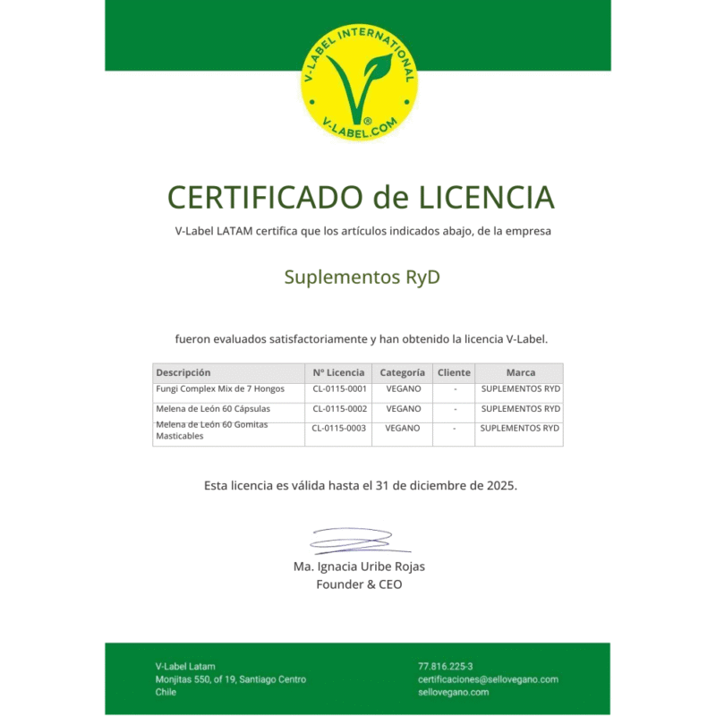 Melena de león 300 mg + B12 60 cápsulas RyD Certificadas - Imagen 3